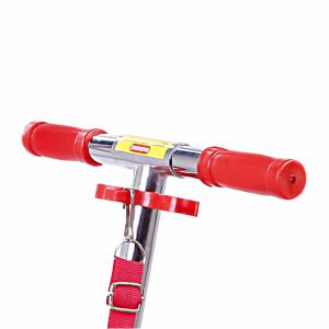 اسکوتر مدل کار