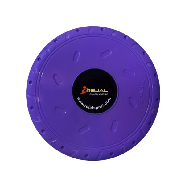 فریزبی ساده